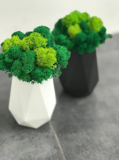 Tall Planter – Modern Minimalist Indoor Plant Pot